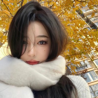 权力的堡垒 第四季